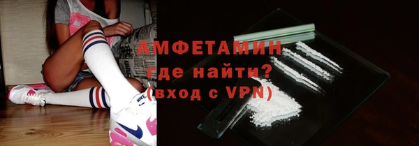 сатива Новокубанск