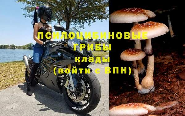 таблы Няндома